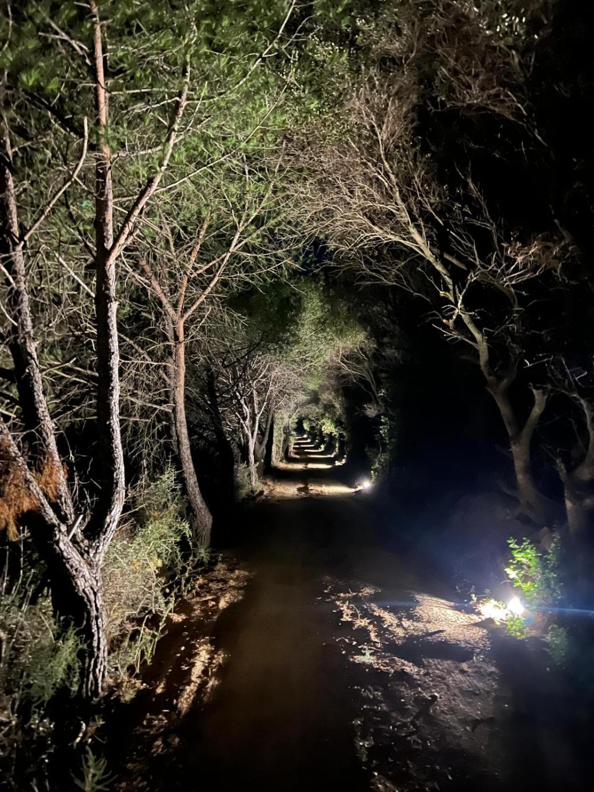 Agreen Country House Όλμπια Εξωτερικό φωτογραφία
